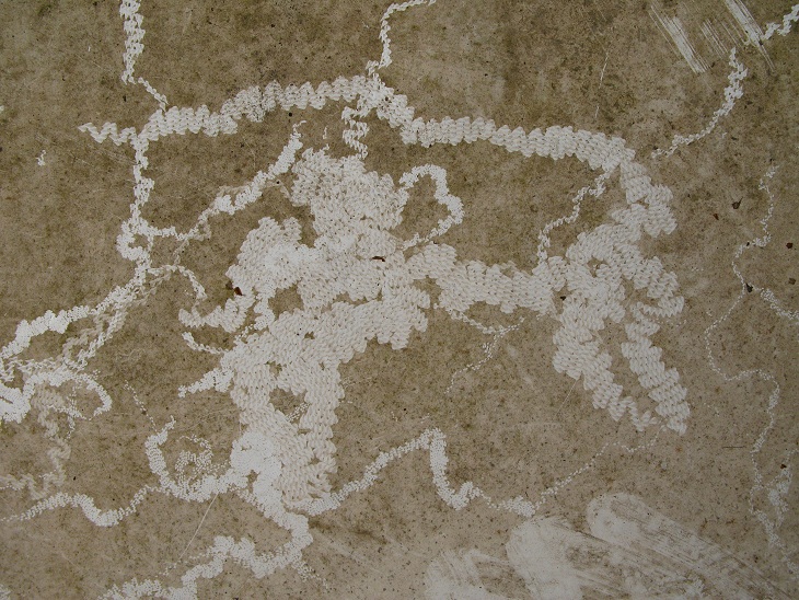  misteriosi disegni visibili solo dallalto 